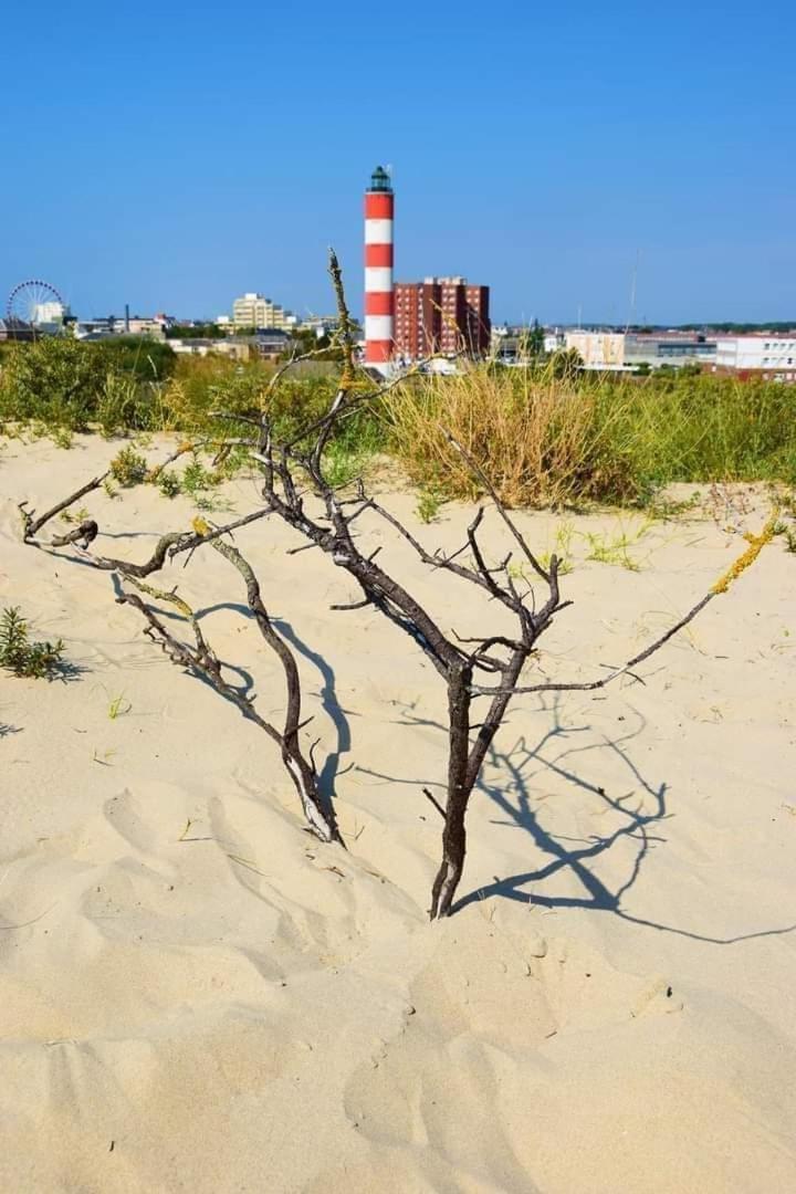 L'Alteia: Beachfront Apartment with Private Parking Berck Exterior photo